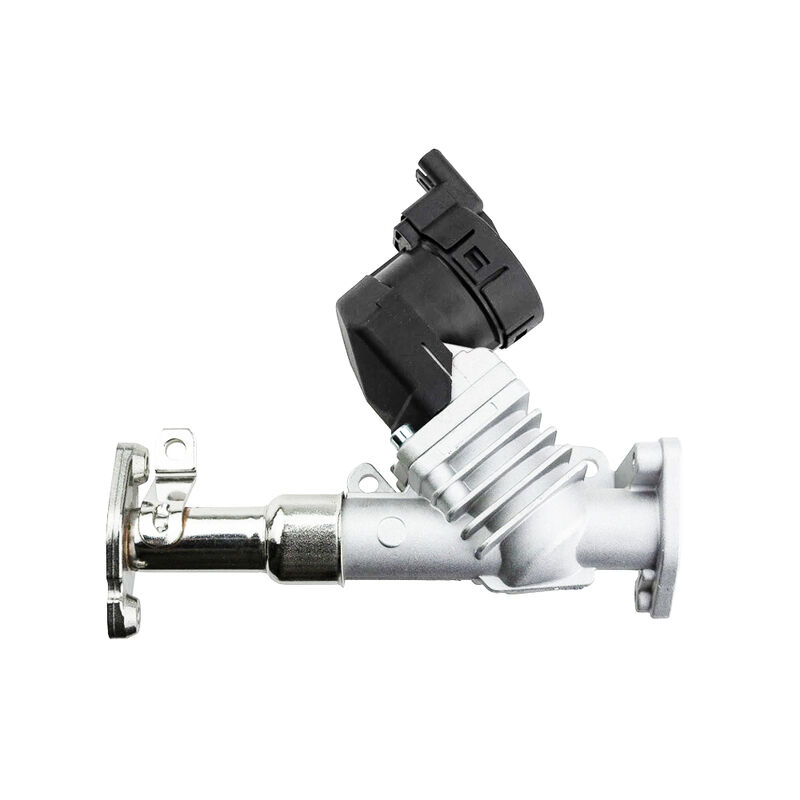 صمام EGR من Womala Auto Parts 11717563241 11718479590 لسلسلة BMW 1/3/5